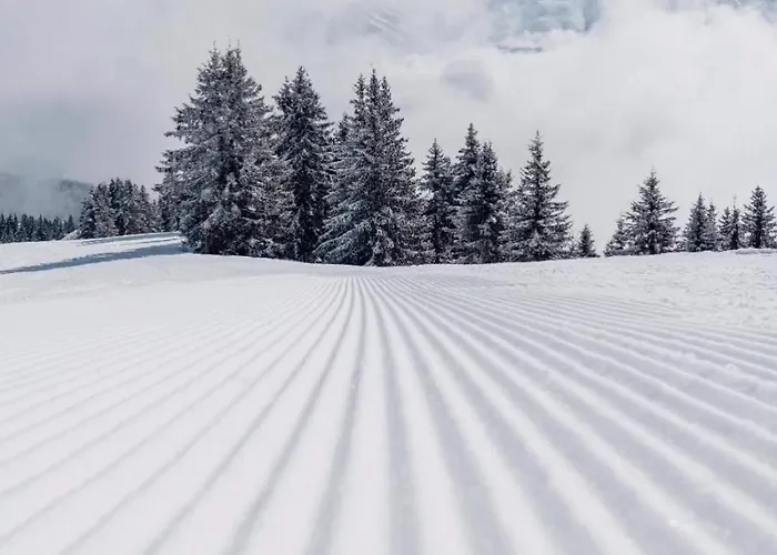 La Grange D'arly Hotel Megève