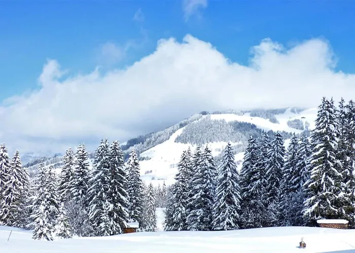 La Grange D'arly Hotel 3*